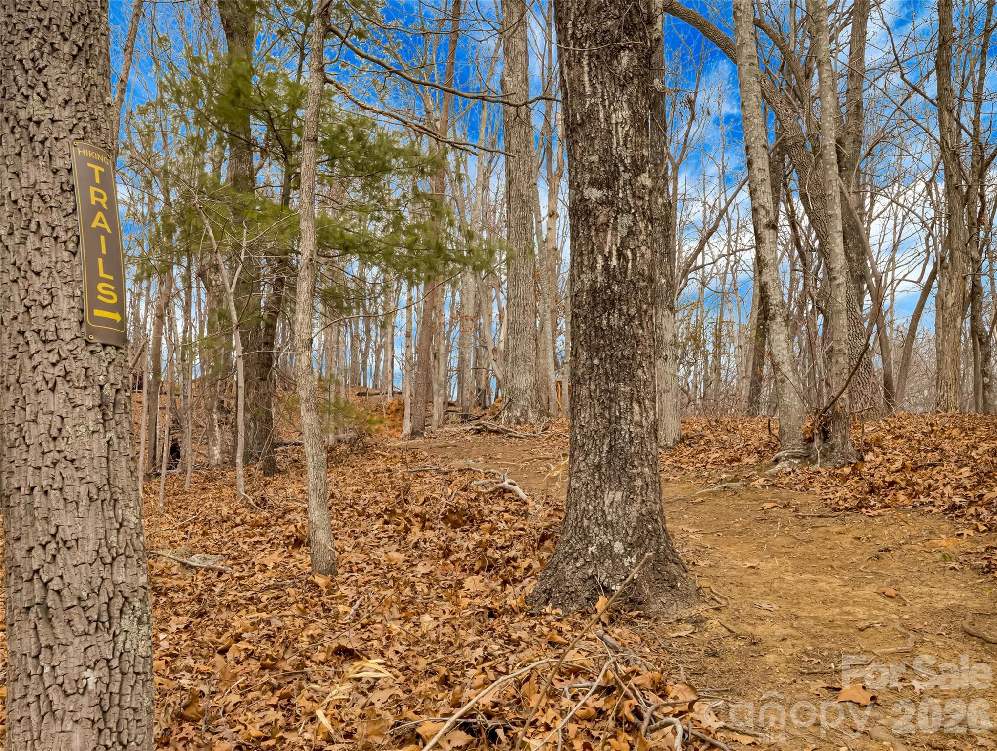 Lot at TBD Deep Woods Lane, Saluda, photo 10 of 10