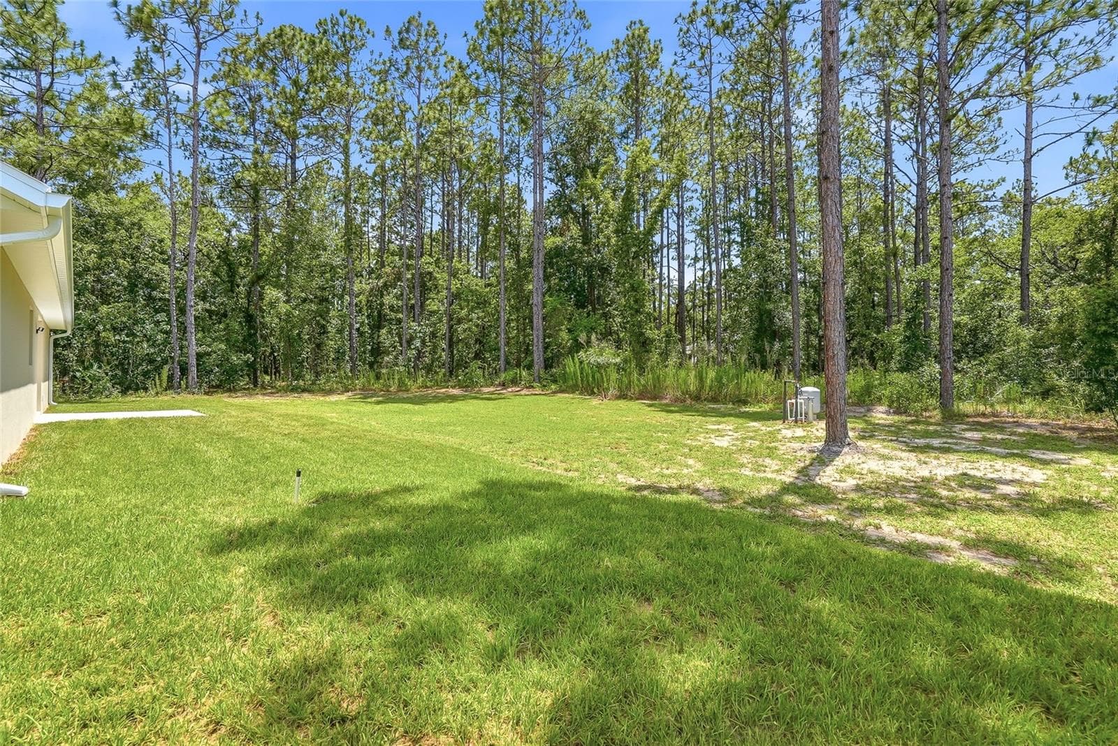 Single Family Residence at 16325 FORCE RD, BROOKSVILLE, photo 42 of 53