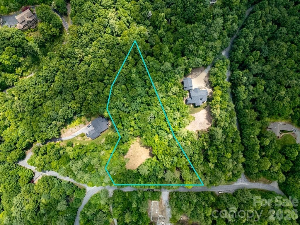 Lot at 1571 Eagle Lake Drive, Brevard, photo 6 of 21