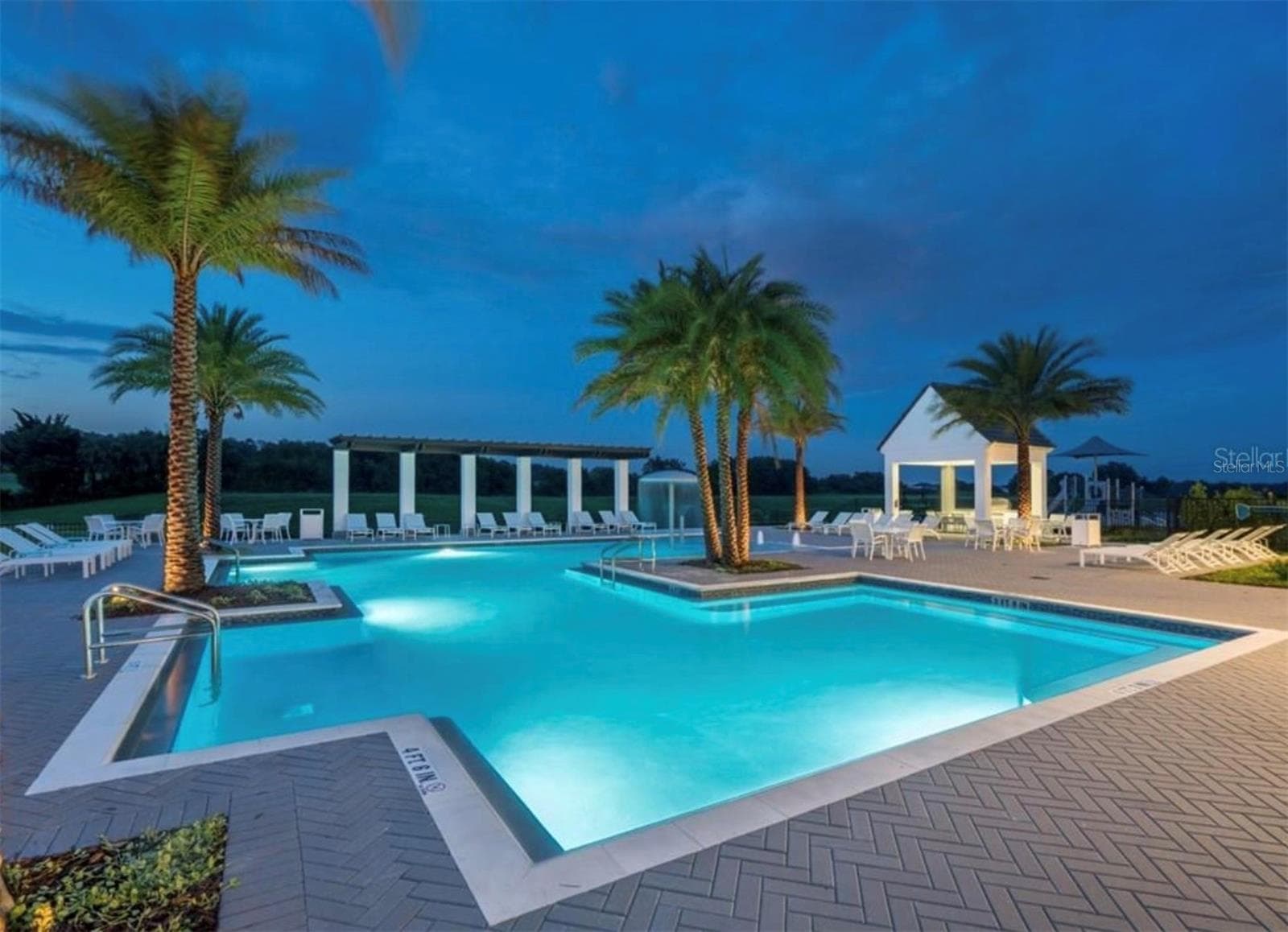 Pool Ares - 15709 SHOREBIRD LN, WINTER GARDEN
