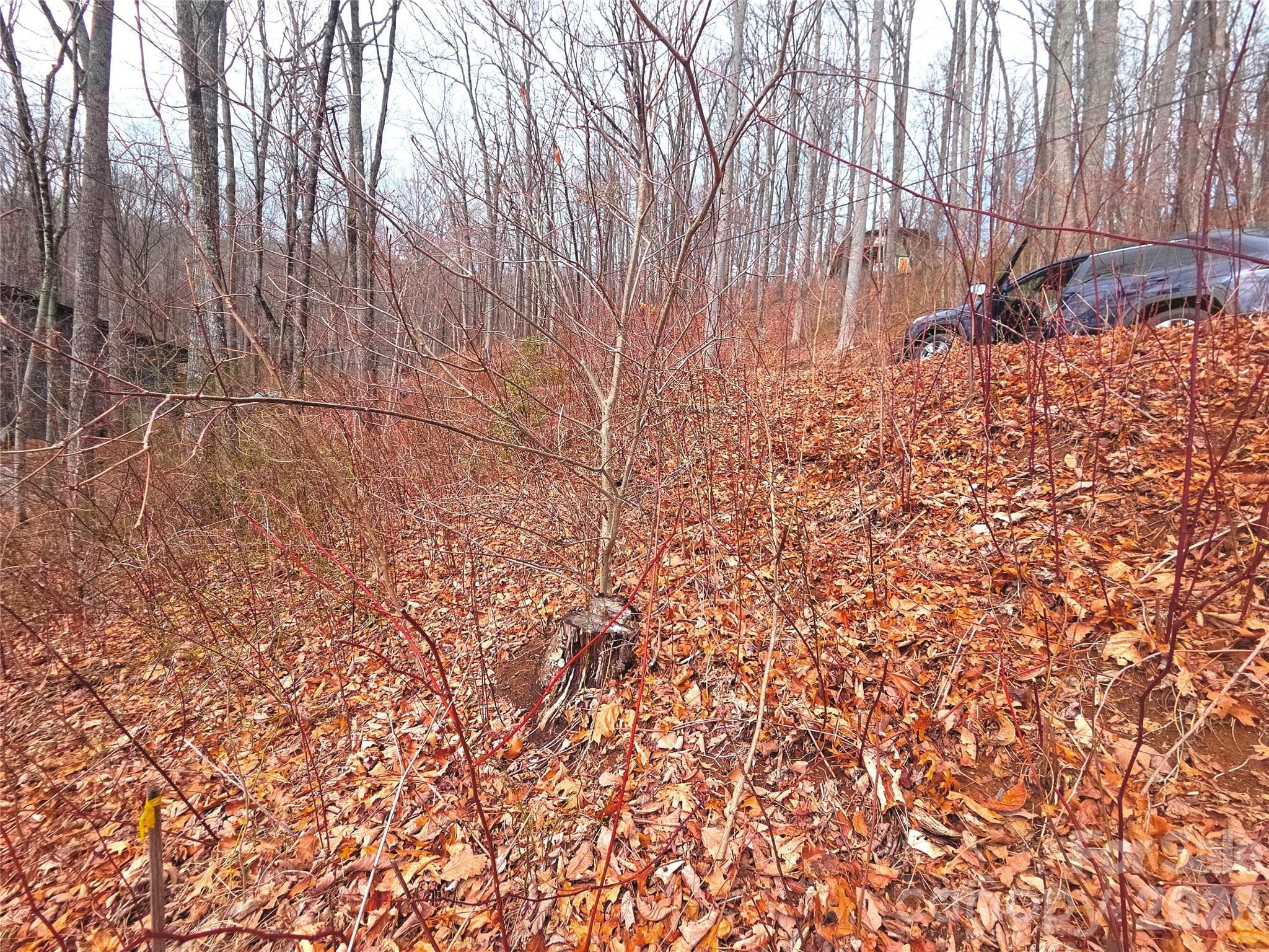 Lot at Waynesville, photo 4 of 15