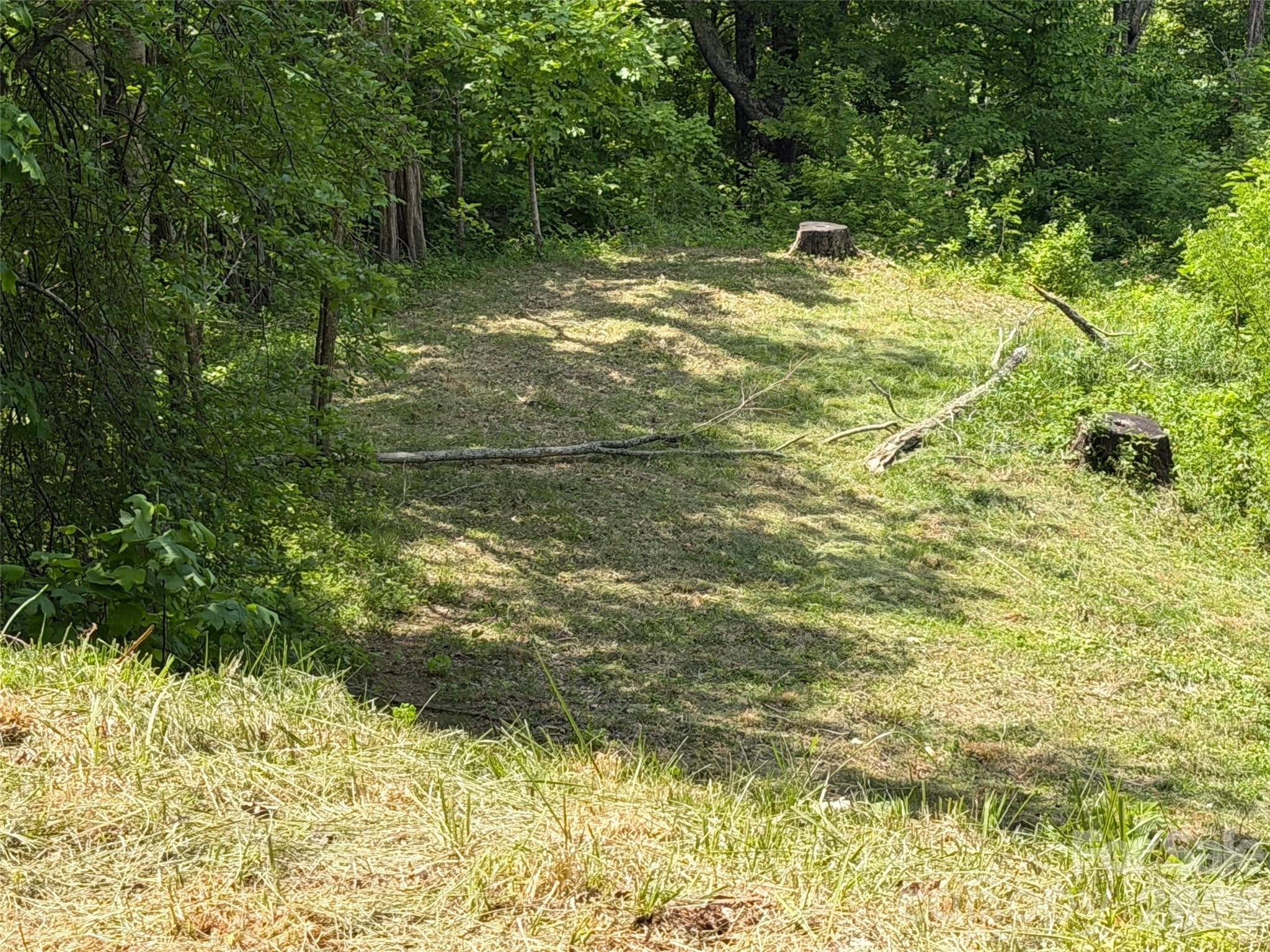 Acreage at 399 Goodson Spring Road, Waynesville, photo 25 of 29