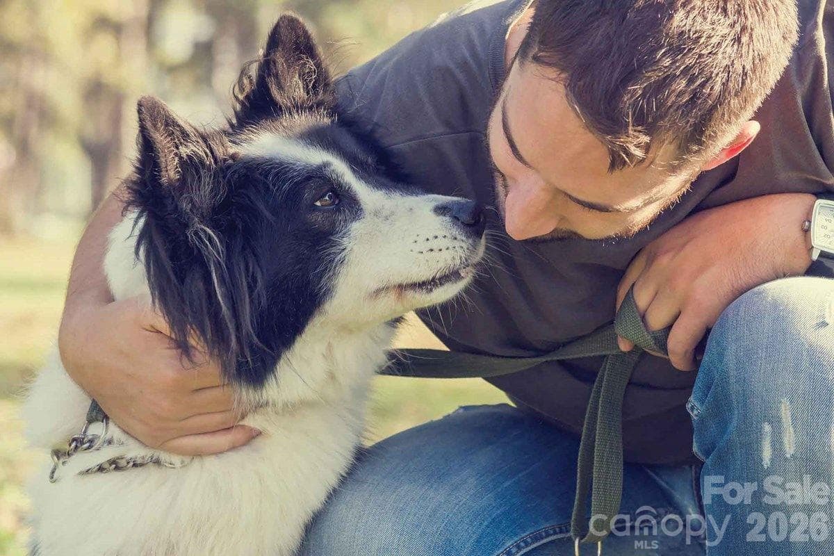Westwood Reserve offers a large and small dog park - Charlotte