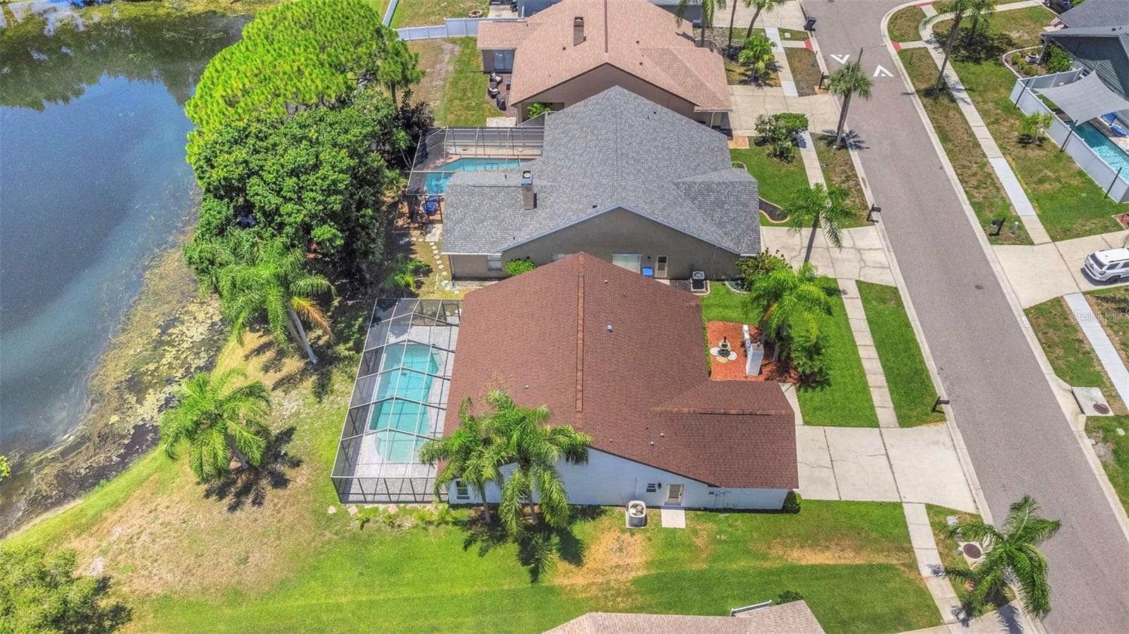 Single Family Residence at 8609 BOYSENBERRY DR, TAMPA, photo 47 of 52