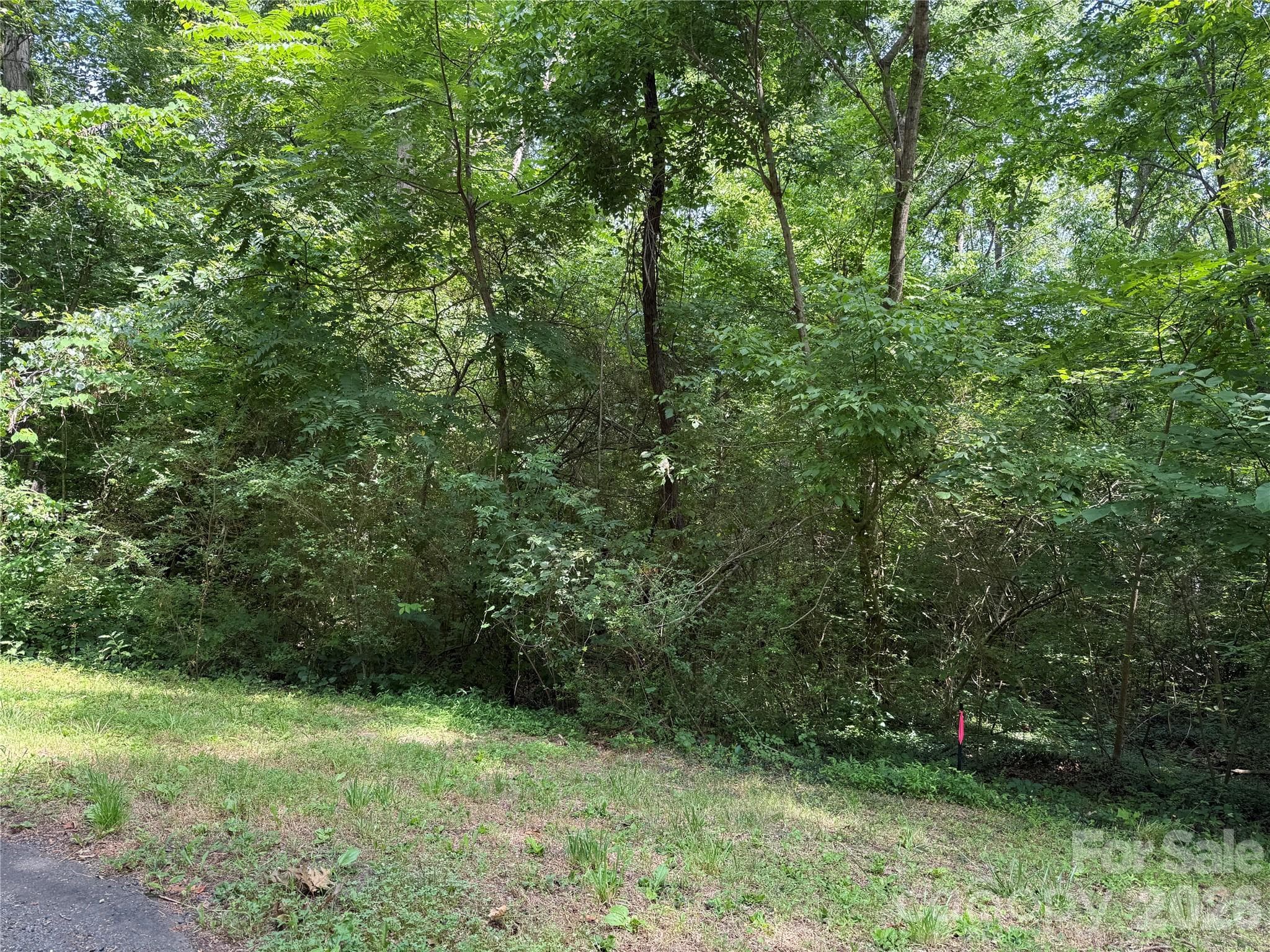 Lot at 9562 Regent Drive, Davidson, photo 2 of 3