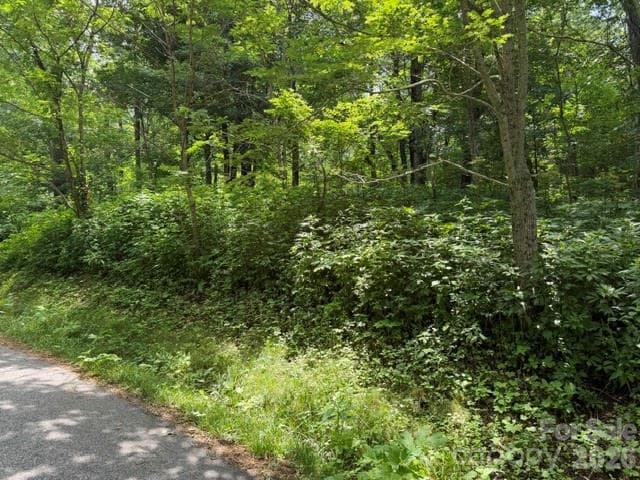 Lot at Maggie Valley, photo 2 of 36