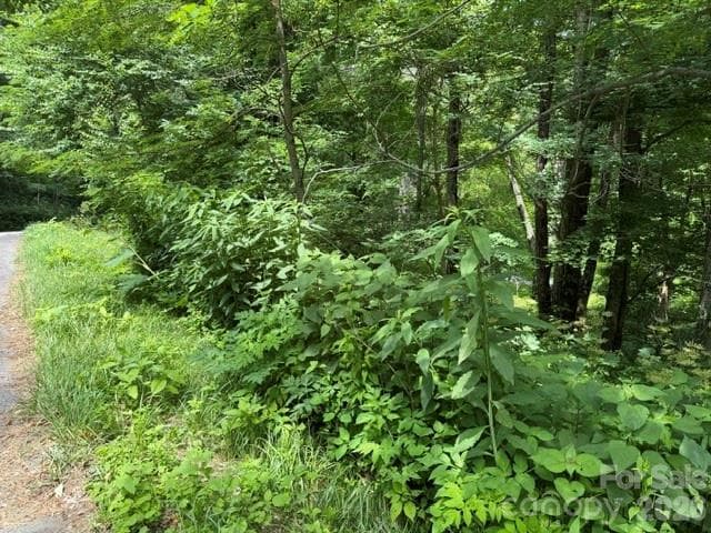 Lot at Maggie Valley, photo 2 of 36