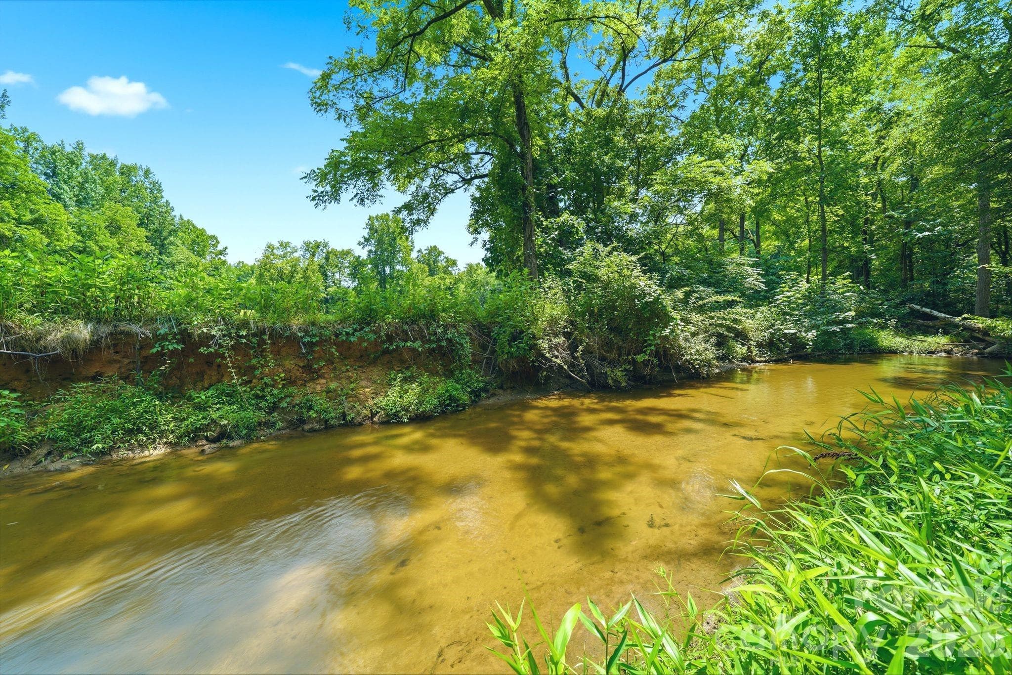 Single Family Residence at 309 Walking Horse Trail, Davidson, photo 40 of 45