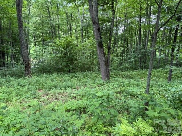 Lot at Maggie Valley, photo 2 of 37