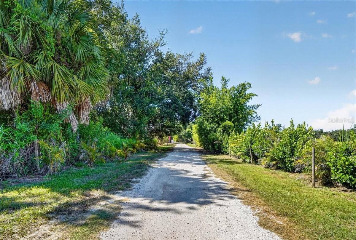 Driveway - 11740 DARSEY RD, PARRISH