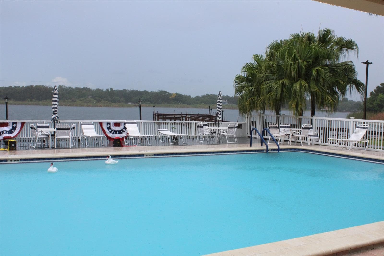 Pool overlooking Lake Arbor - 2288 CITRUS CT, CLEARWATER