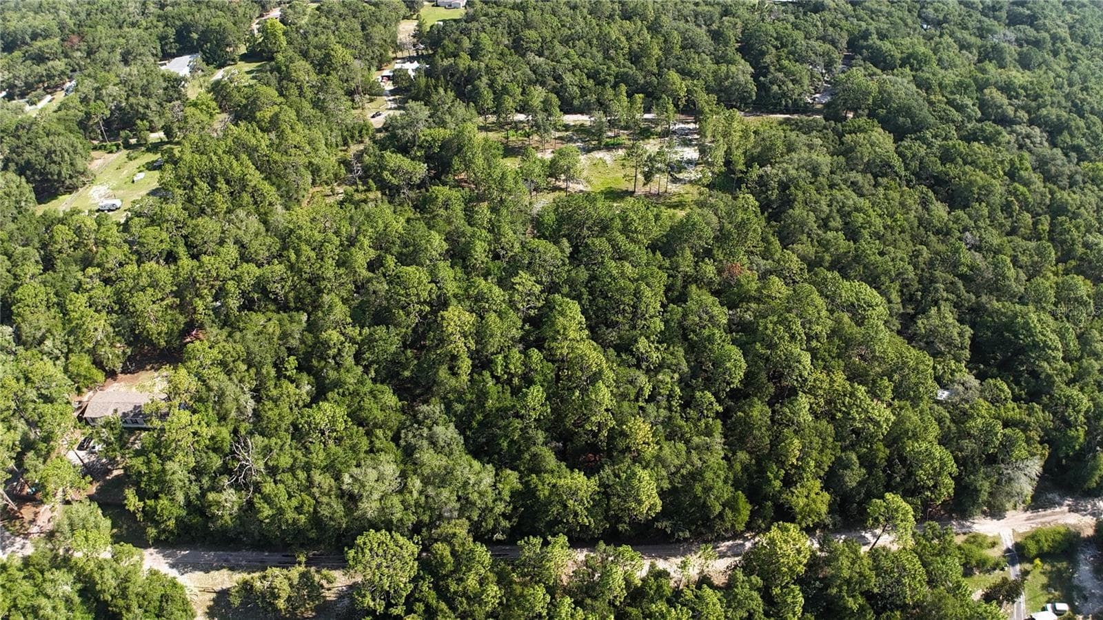 Land at SW 153RD LN, DUNNELLON, photo 12 of 13