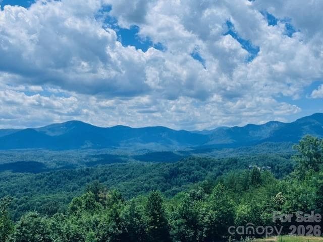 View from Clubhouse - 218 Rock Ledge Drive, Lake Lure
