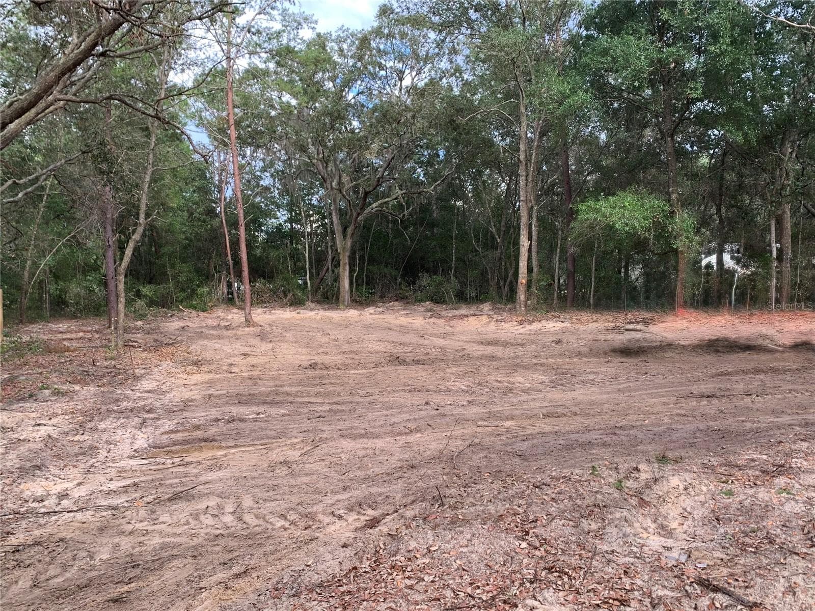 Land at 132 SW 52ND AVE, INTERLACHEN, photo 4 of 11