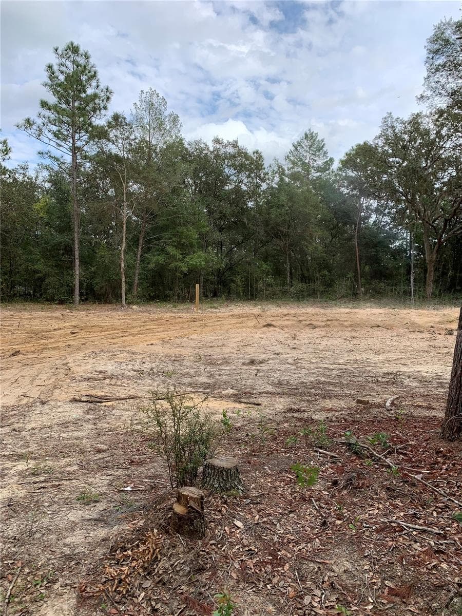 Land at 132 SW 52ND AVE, INTERLACHEN, photo 8 of 11