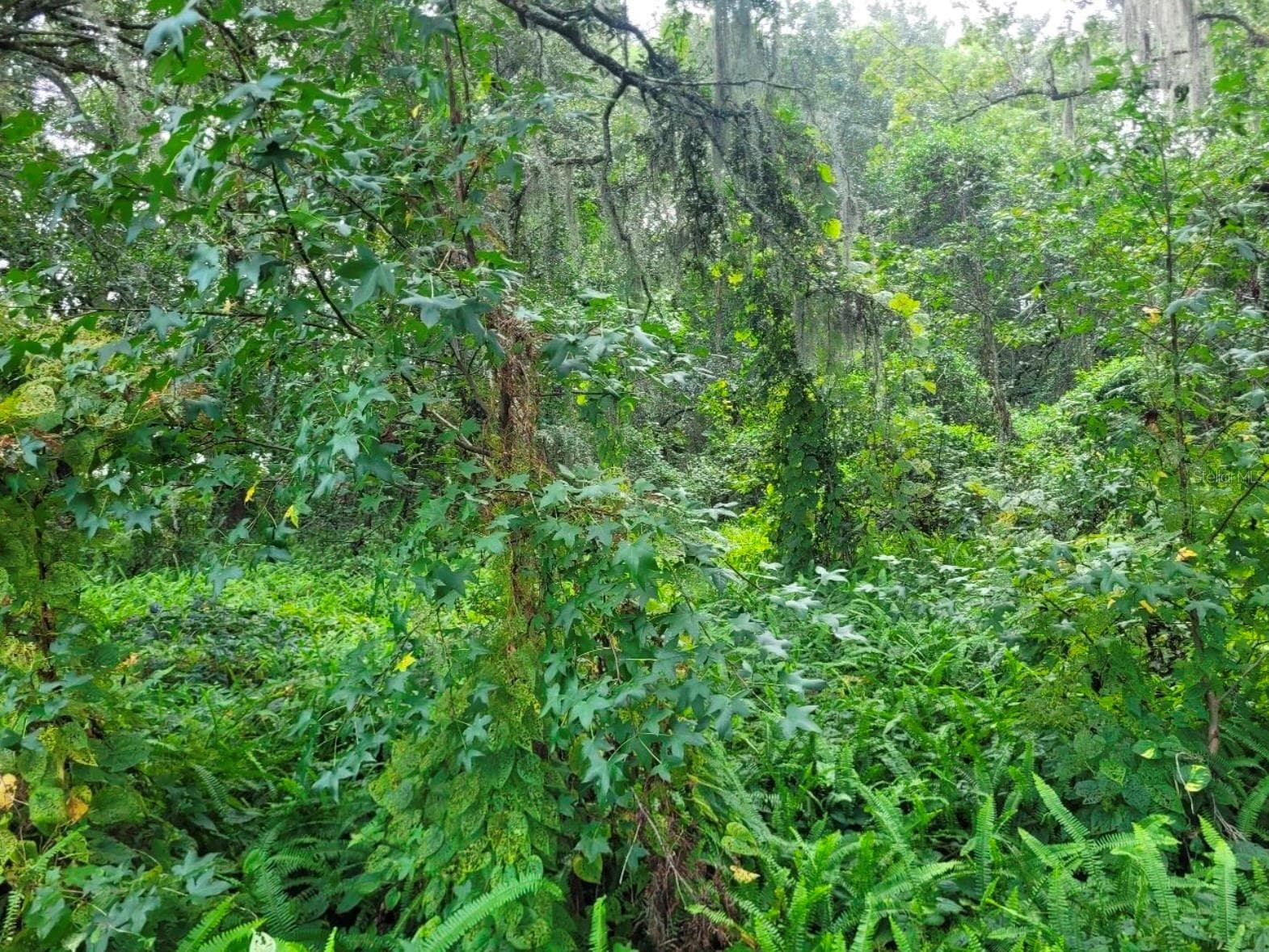 Land at CURRY FORD RD, ORLANDO, photo 9 of 15