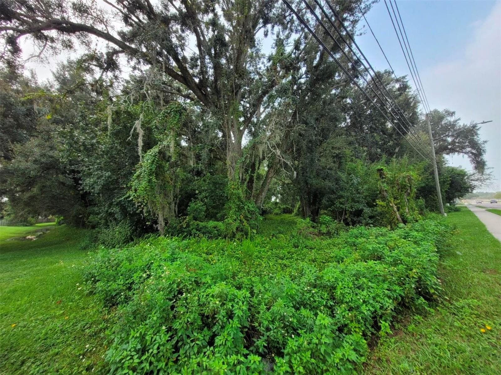 Land at CURRY FORD RD, ORLANDO, photo 10 of 15