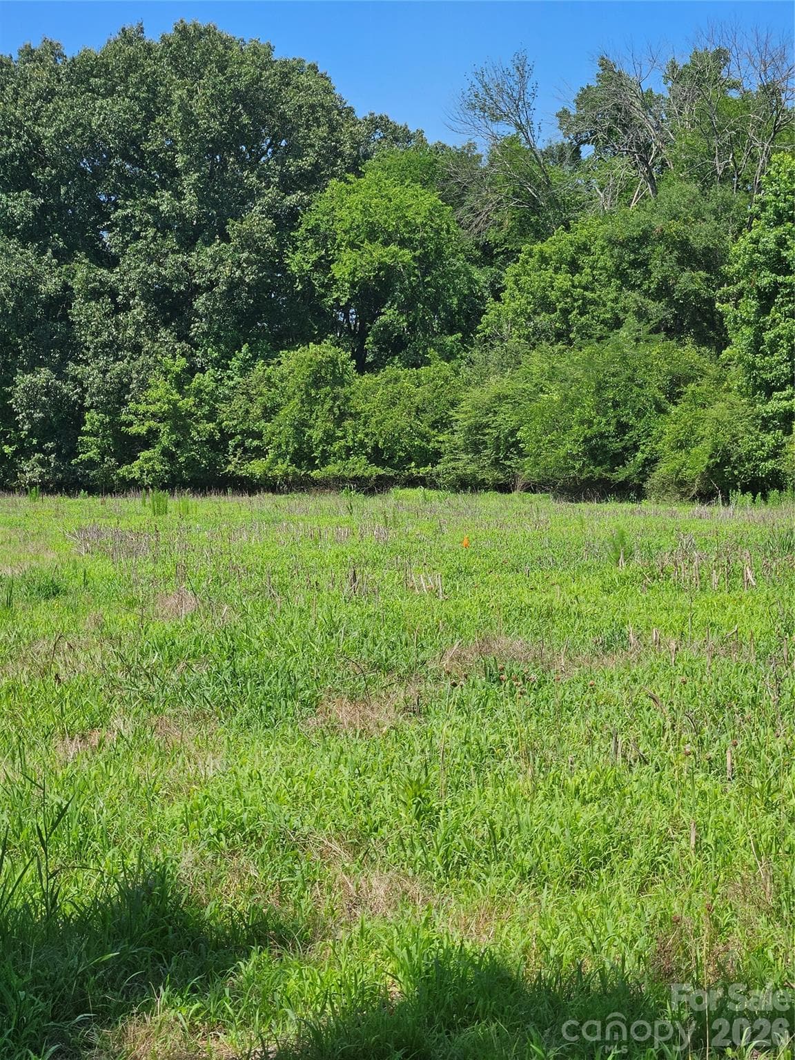 BEAUTIFUL PRIVATE SITE - 16.70ac Providence Road S, Waxhaw