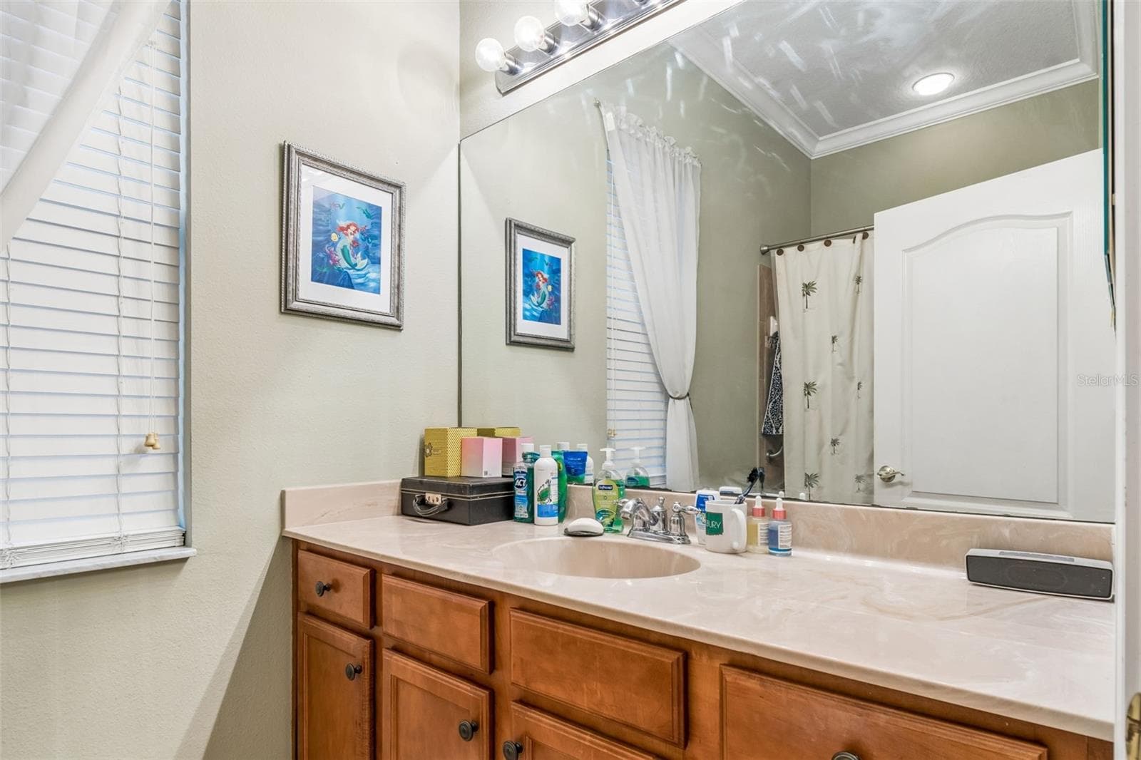 Single Family Residence at 23305 GRACEWOOD CIR, LAND O LAKES, photo 34 of 95