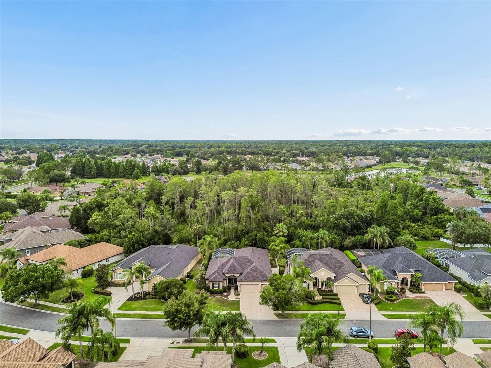 Single Family Residence at 23305 GRACEWOOD CIR, LAND O LAKES, photo 47 of 95