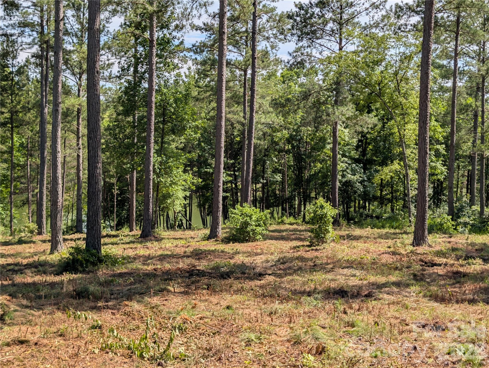 Beautiful waterfront lot - 2134 Princeton Mountain Mountain, Connelly Springs
