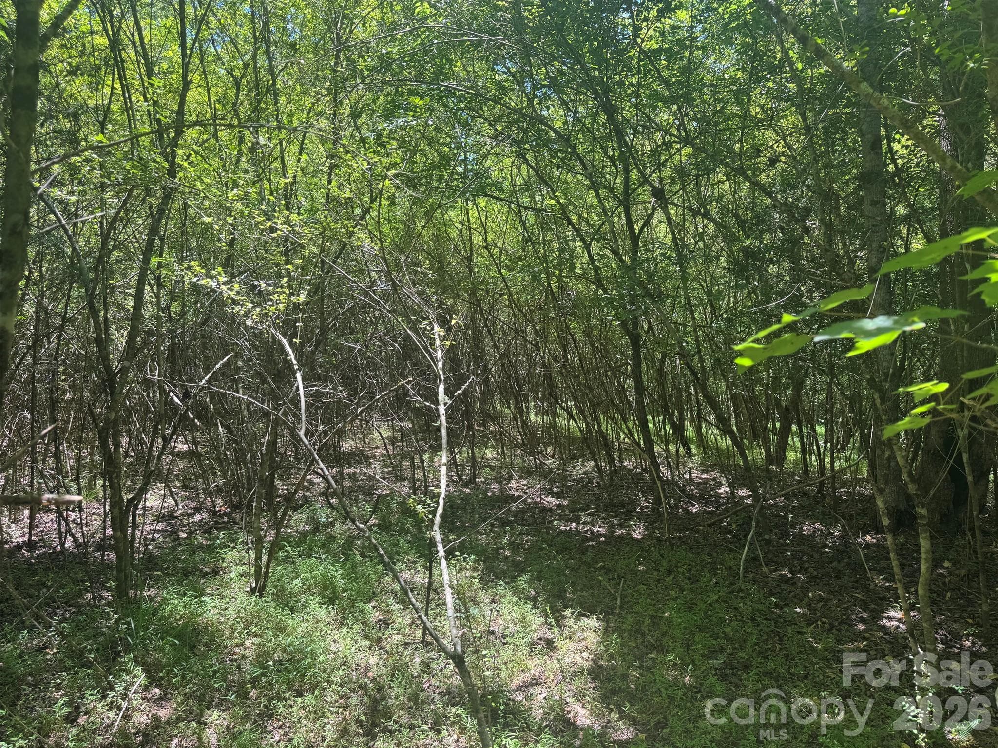 Lot at 0 Desota Ridge, Rutherfordton, photo 8 of 10