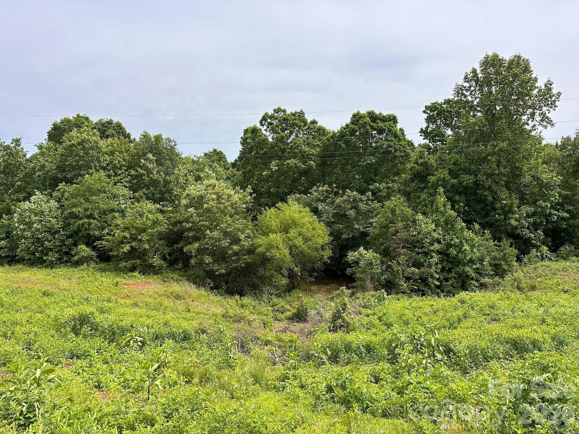 Acreage at Hickory, photo 3 of 13