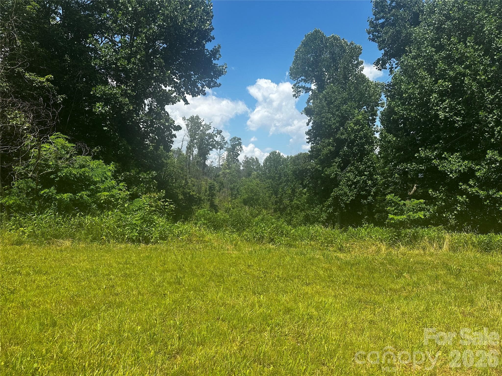 Acreage at 674 John Sparks Road, Bakersville, photo 7 of 38