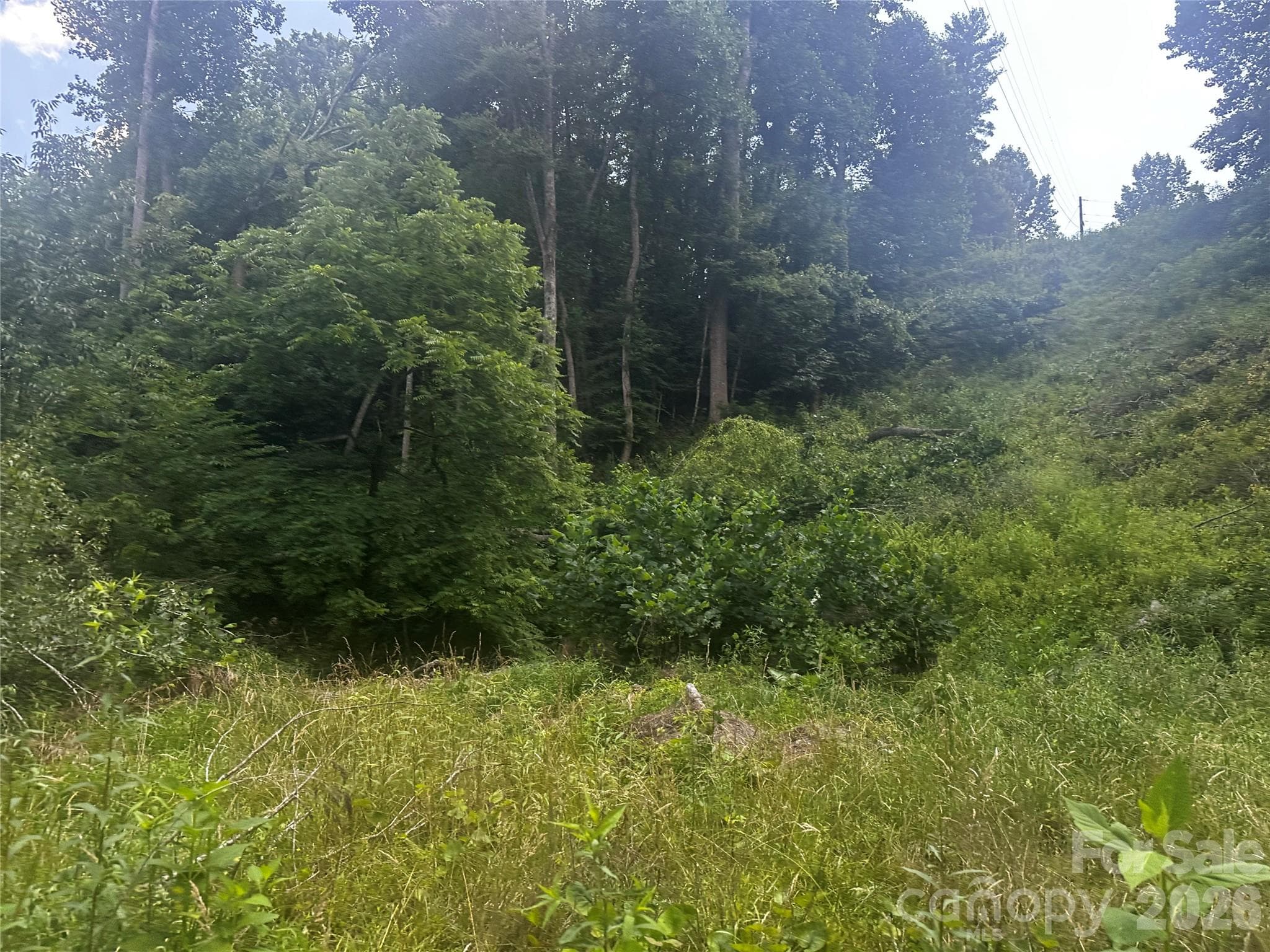 Acreage at 674 John Sparks Road, Bakersville, photo 11 of 38
