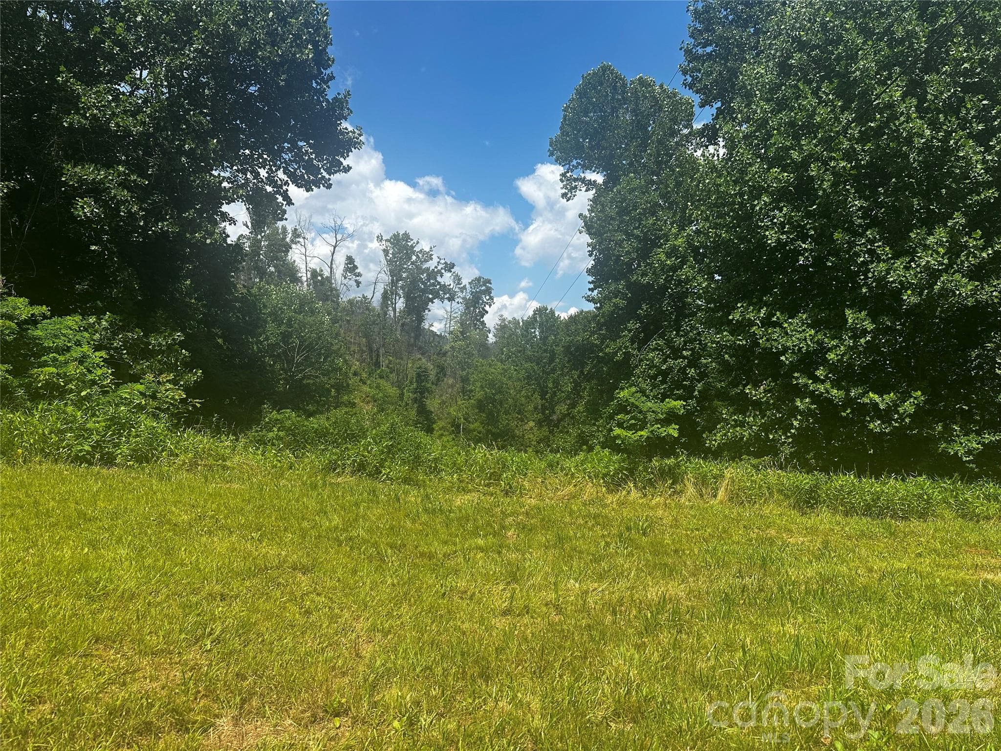 Acreage at 674 John Sparks Road, Bakersville, photo 15 of 38