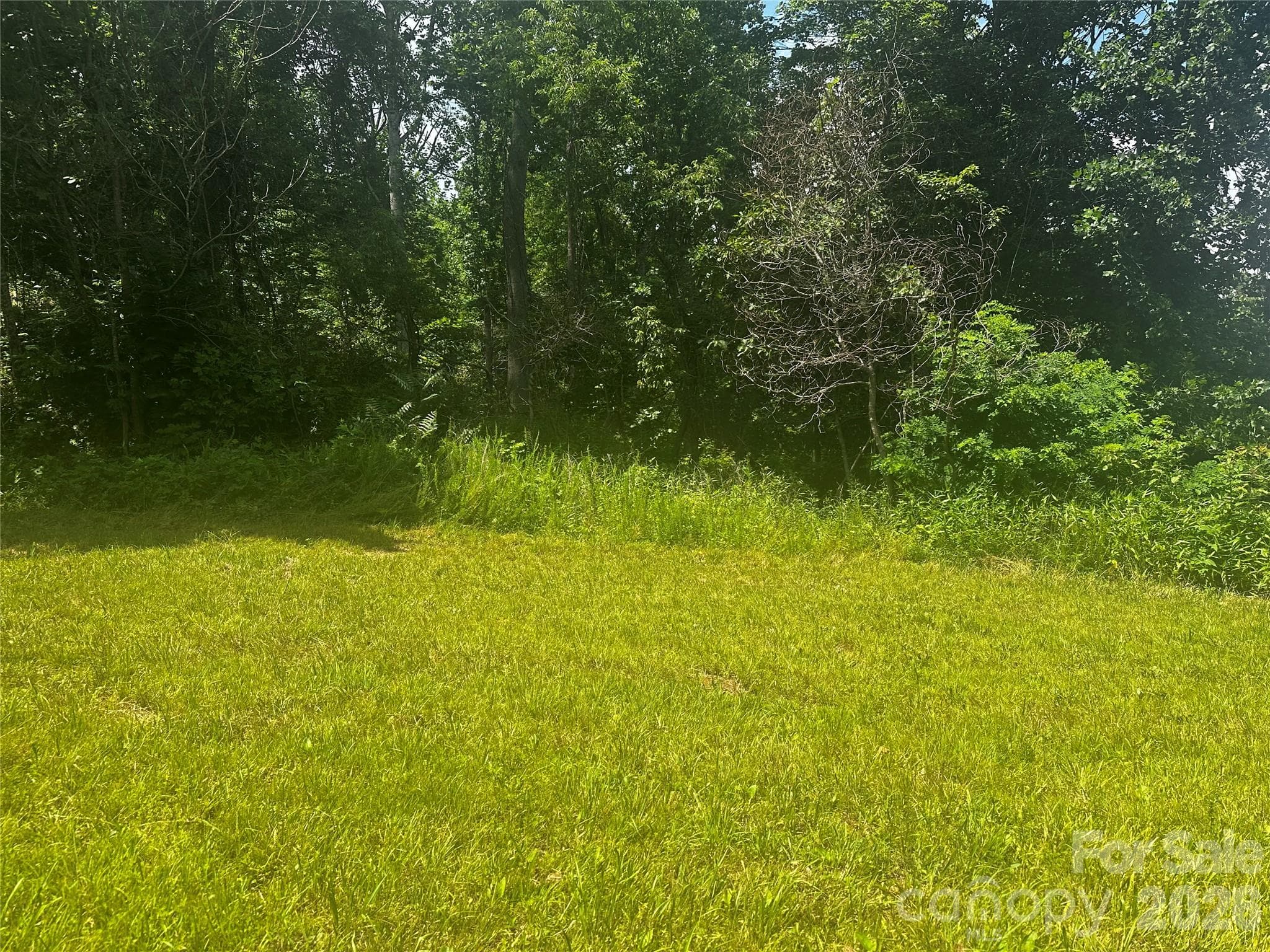 Acreage at 674 John Sparks Road, Bakersville, photo 19 of 38