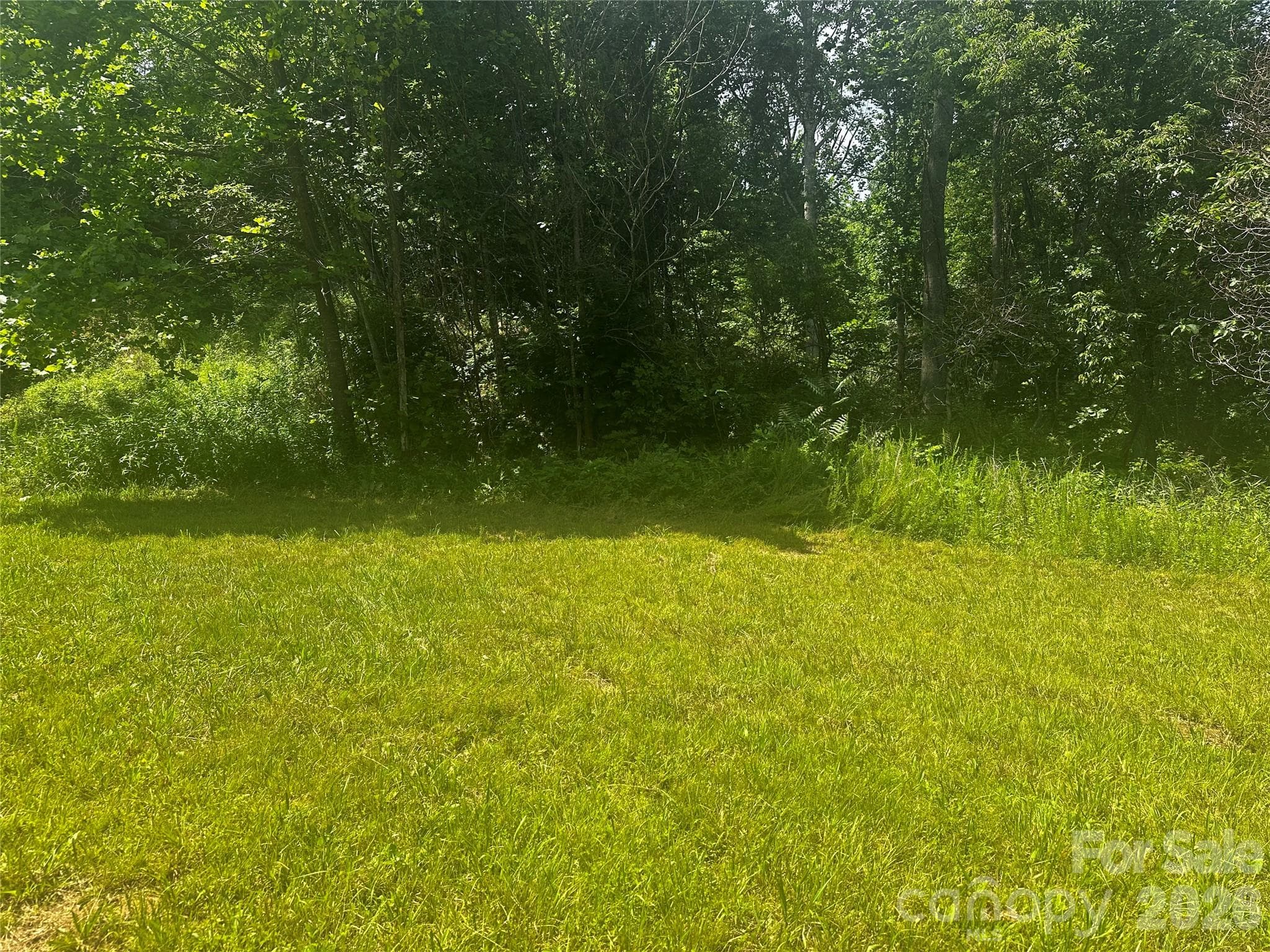 Acreage at 674 John Sparks Road, Bakersville, photo 20 of 38
