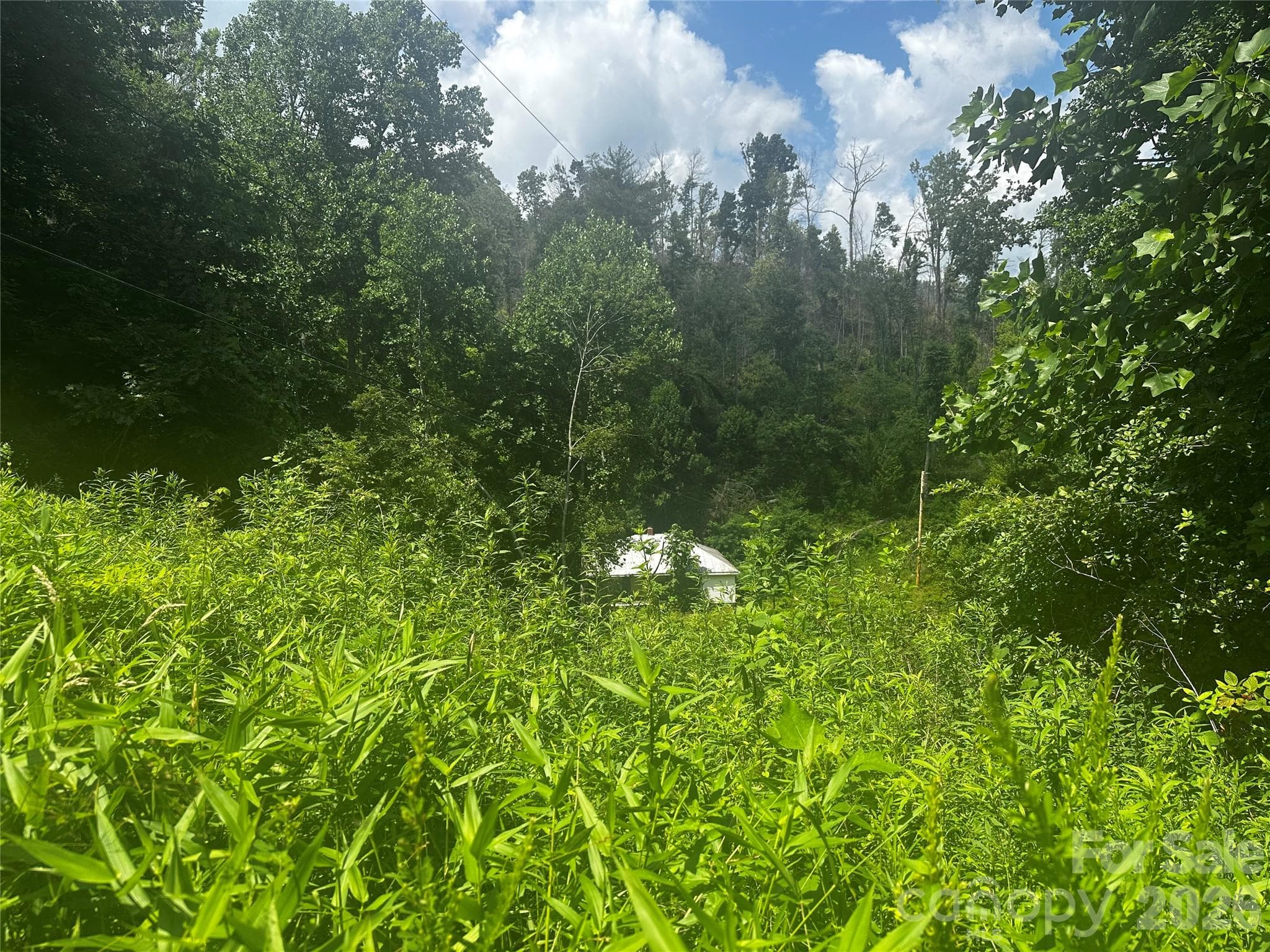 Acreage at 674 John Sparks Road, Bakersville, photo 23 of 38