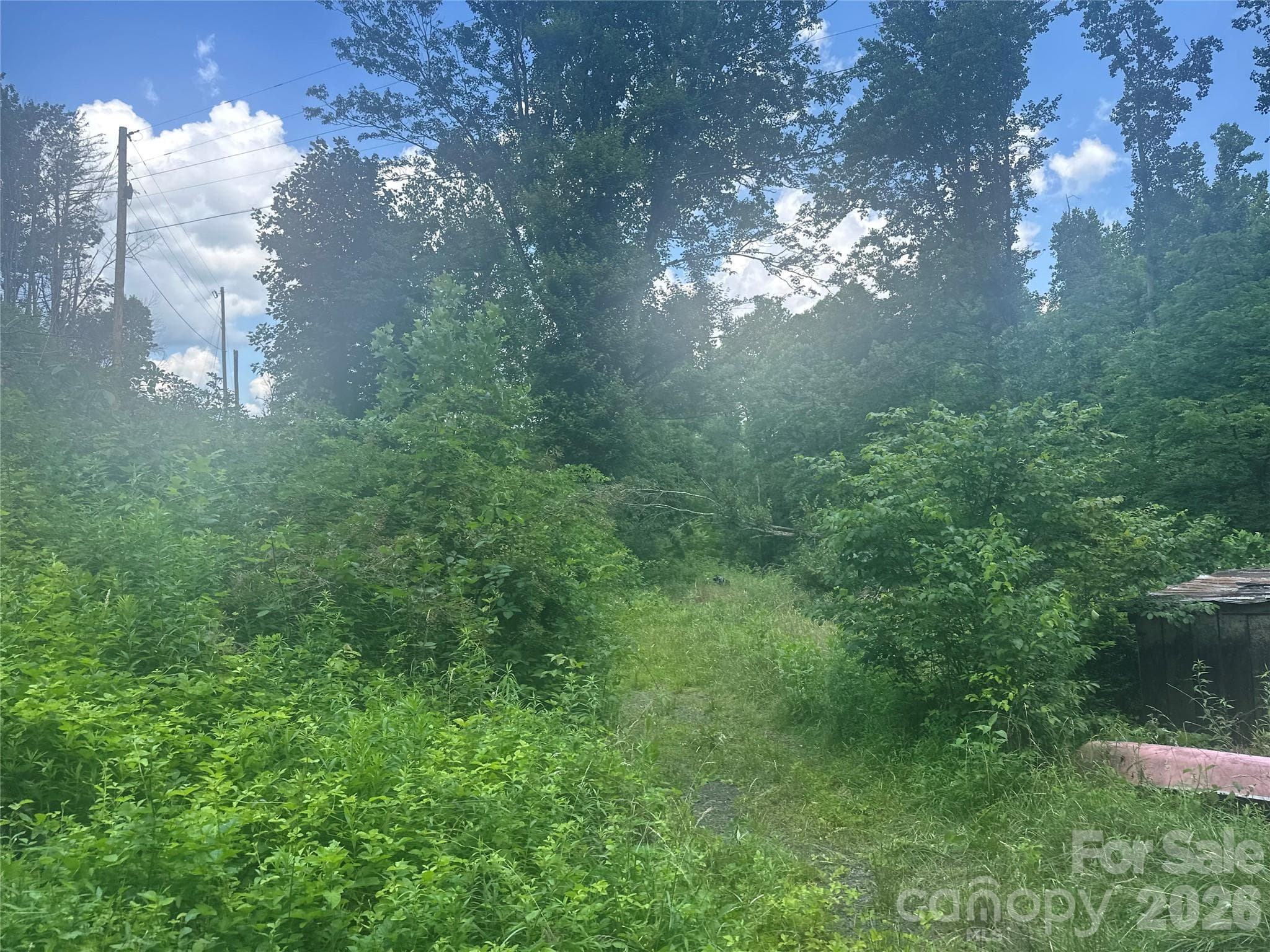 Acreage at 674 John Sparks Road, Bakersville, photo 31 of 38