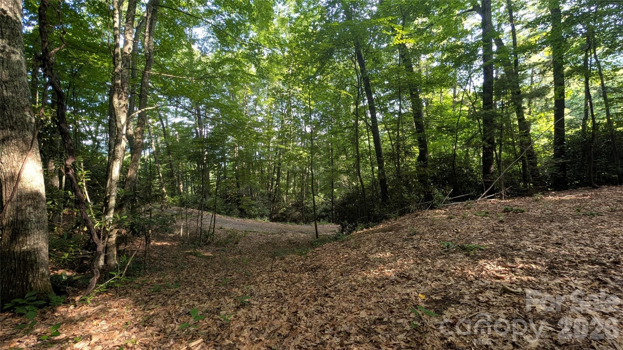 Lot at 00 Chestnut Walk, Waynesville, photo 5 of 20