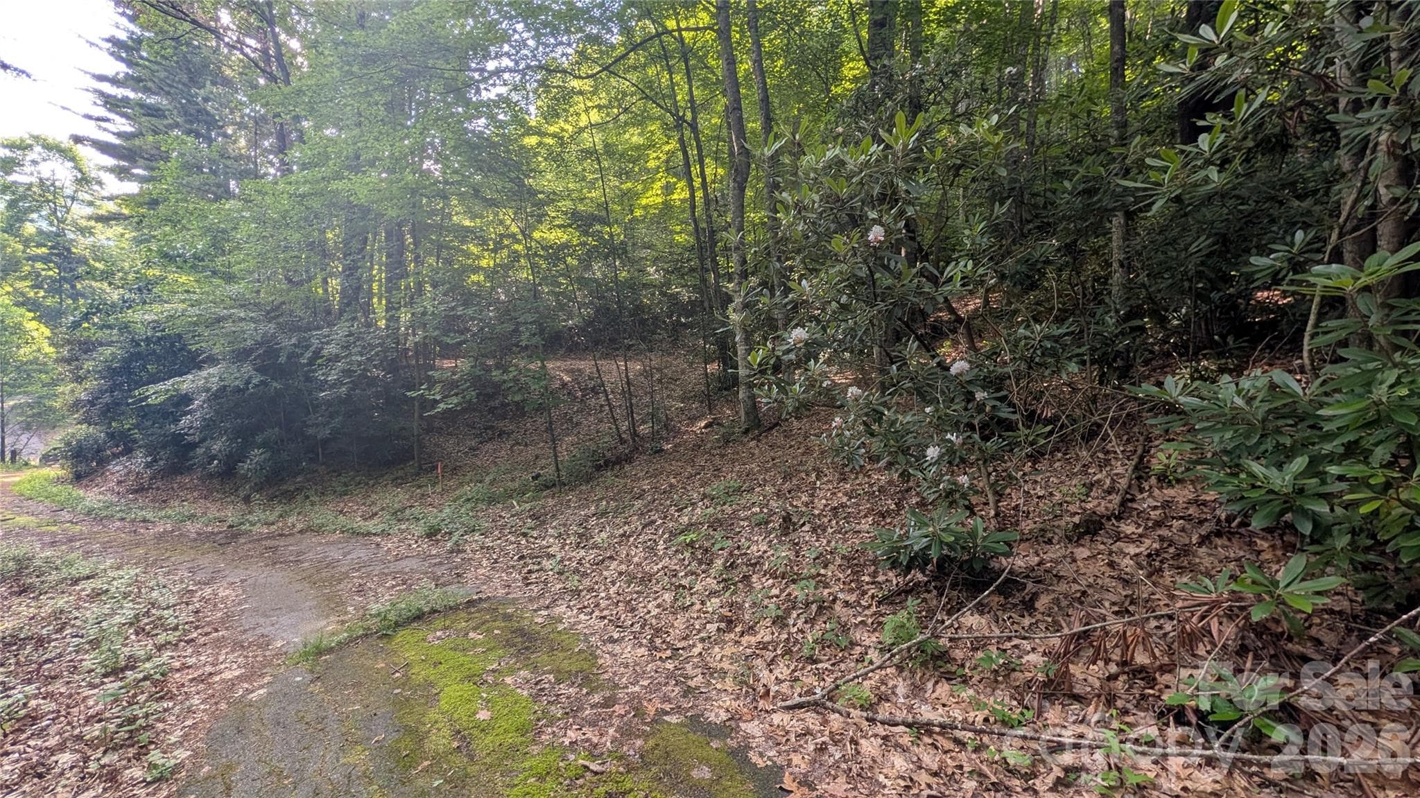 Lot at 00 Chestnut Walk, Waynesville, photo 12 of 20