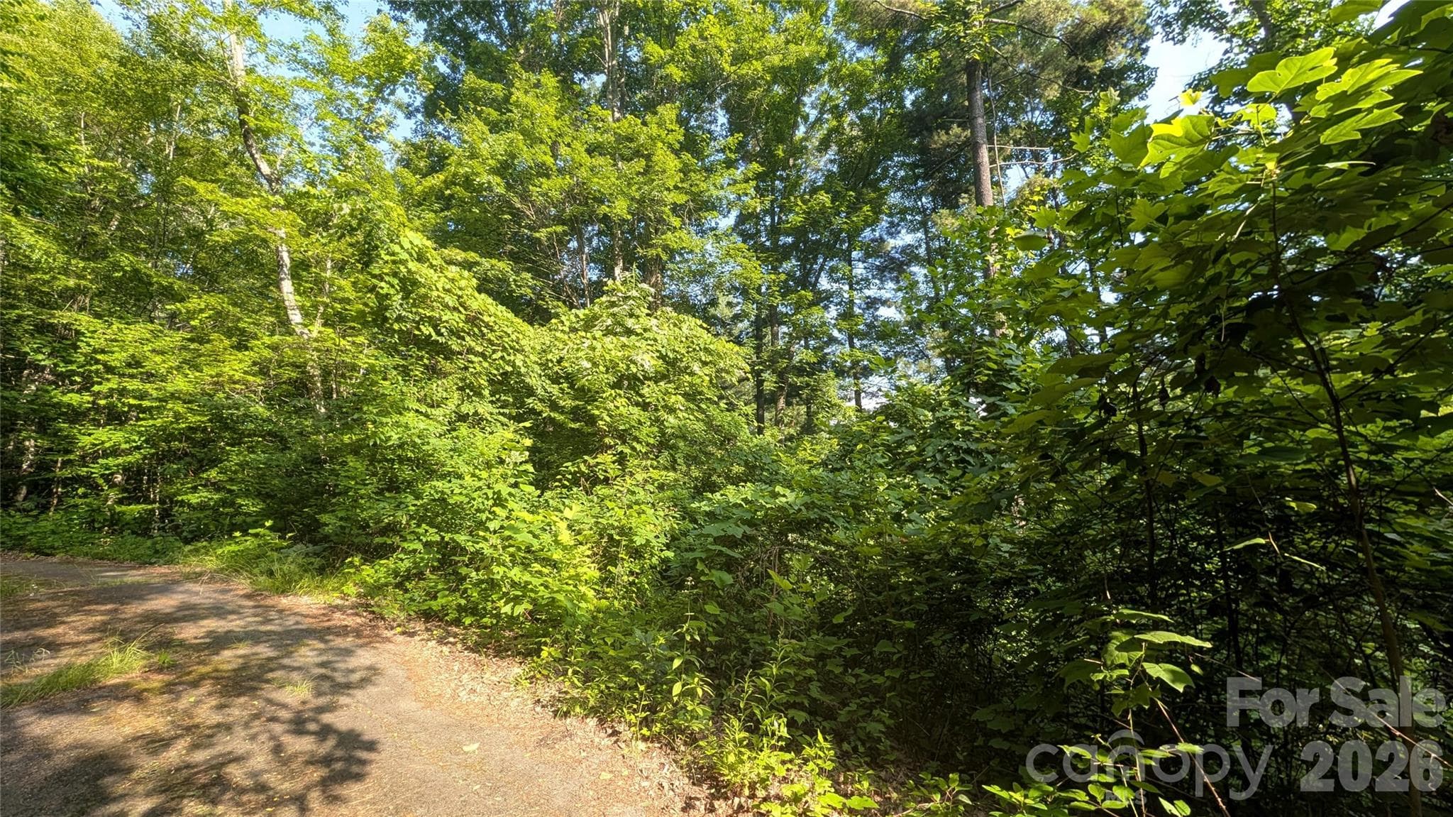 Lot at 00 Chestnut Walk, Waynesville, photo 15 of 20
