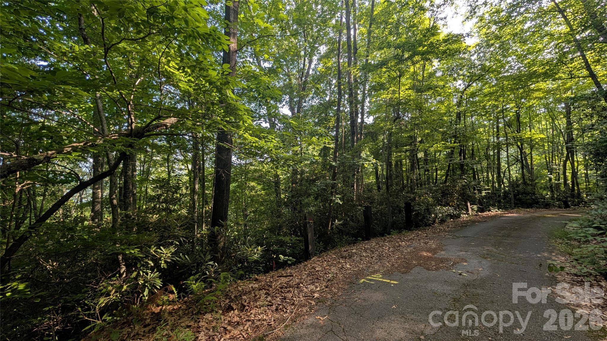 Lot at 00 Chestnut Walk, Waynesville, photo 6 of 26