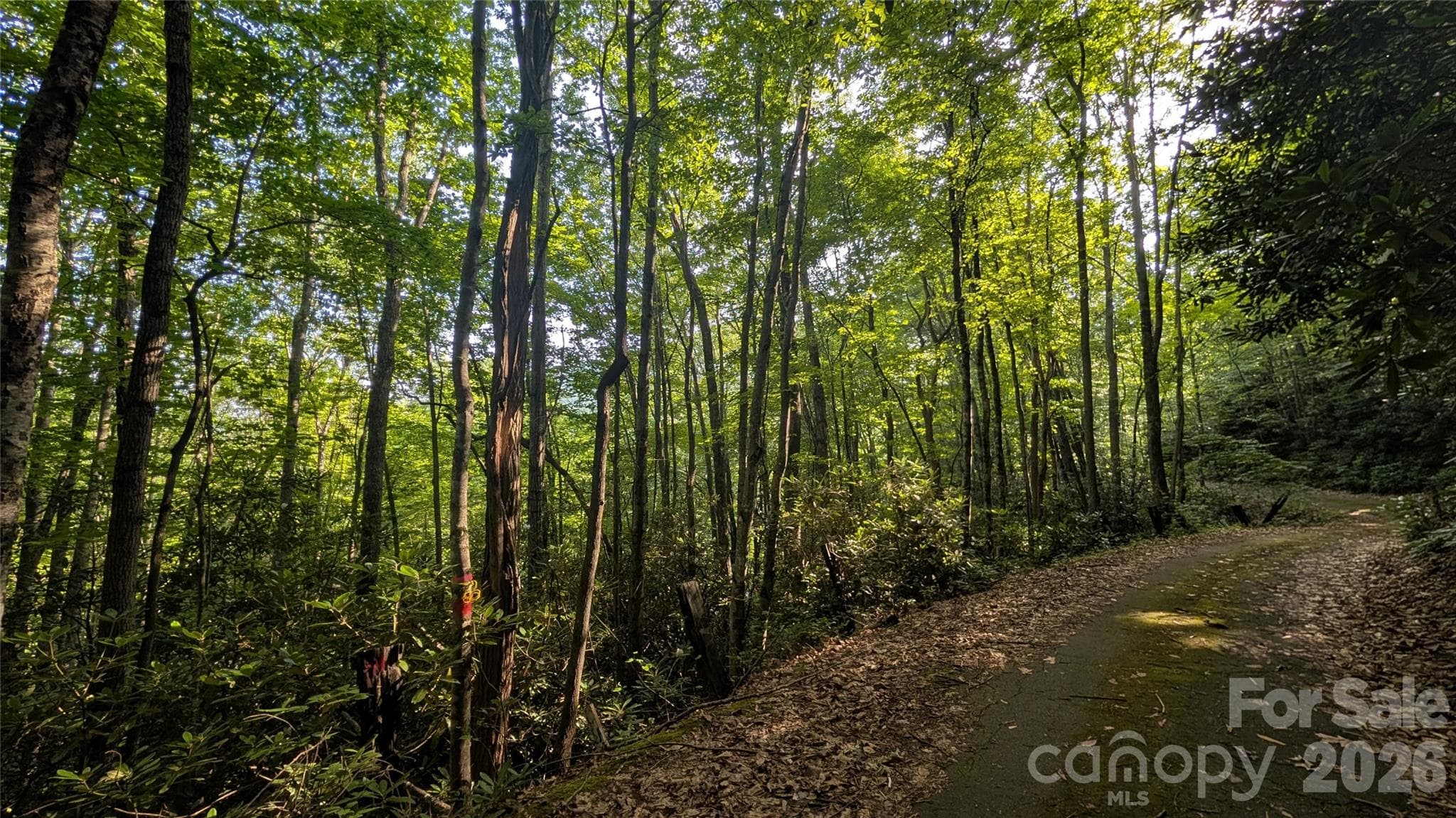 Lot at 00 Chestnut Walk, Waynesville, photo 8 of 26