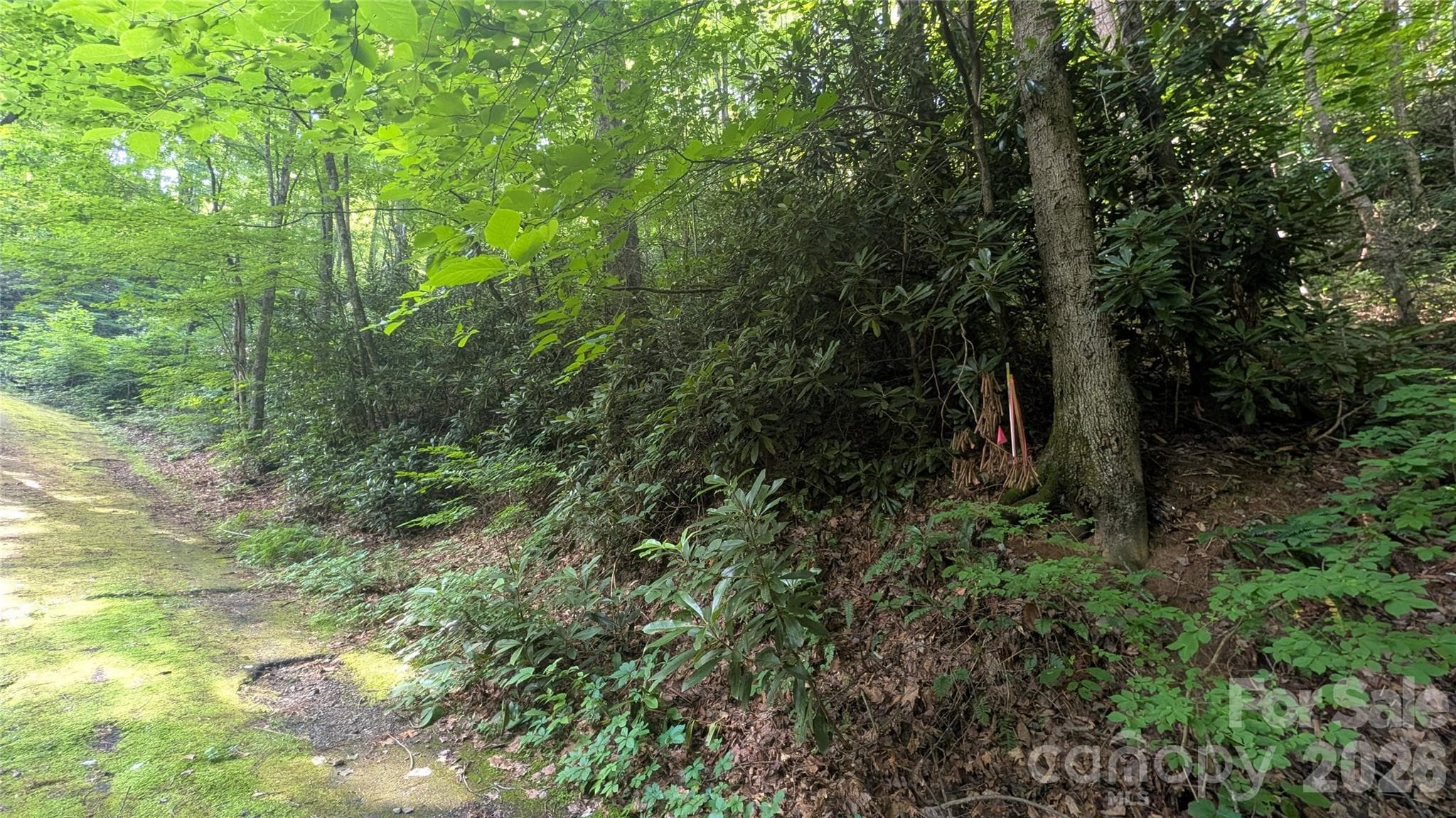 Lot at 00 Chestnut Walk, Waynesville, photo 16 of 26