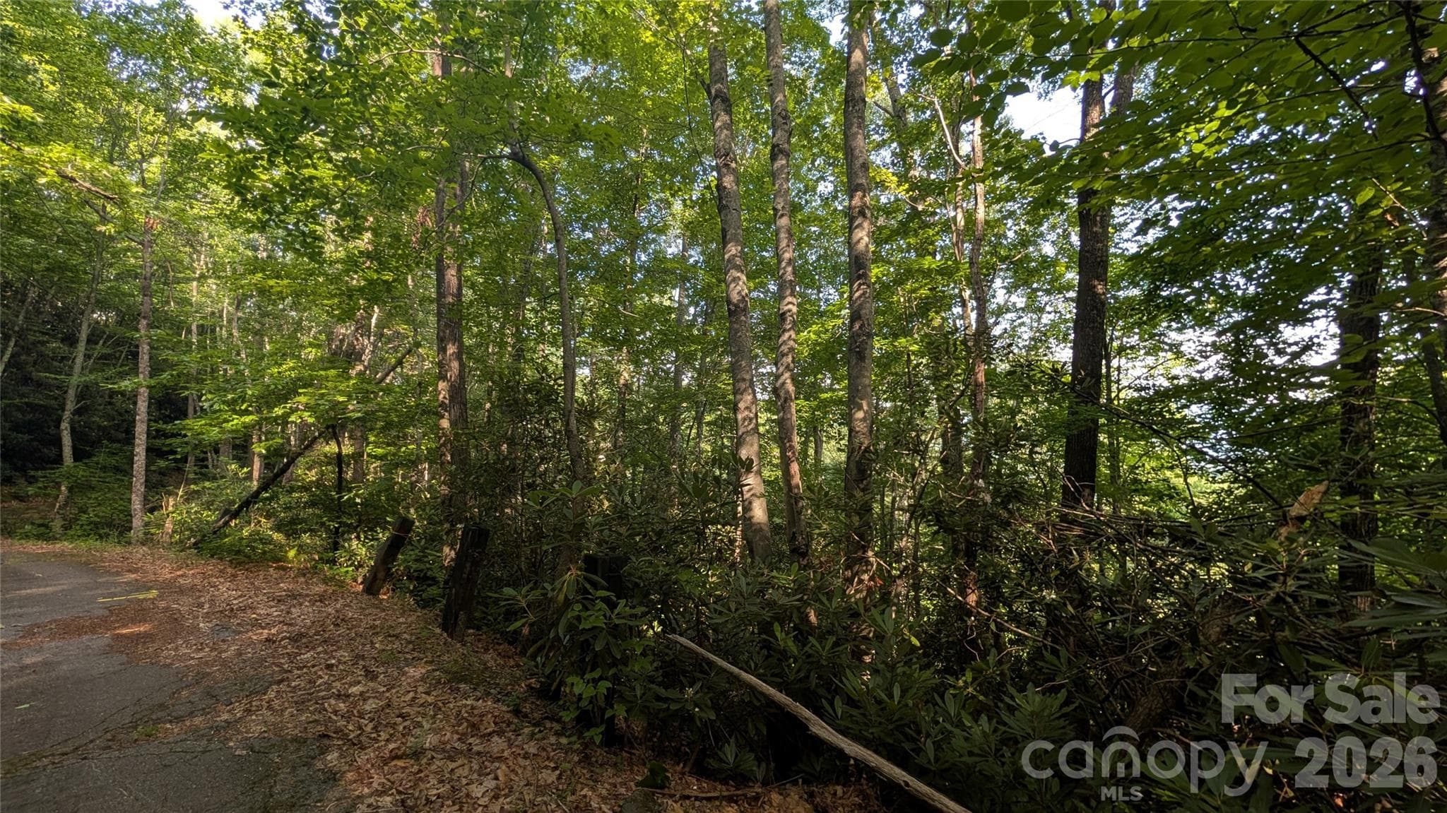 Lot at 00 Chestnut Walk, Waynesville, photo 19 of 26