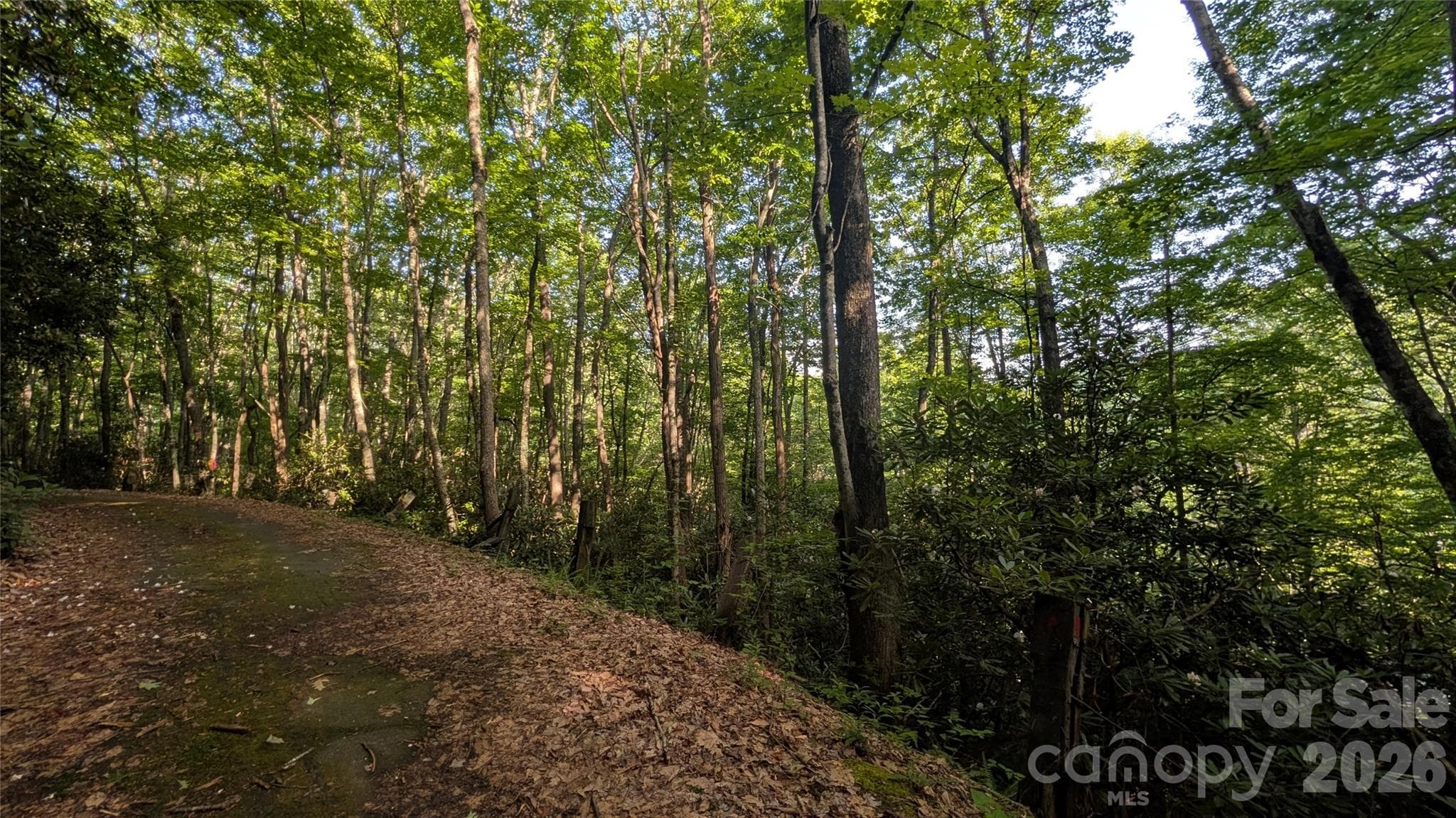 Lot at 00 Chestnut Walk, Waynesville, photo 23 of 26