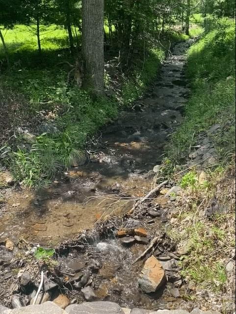 Creek at the end of the driveway - Green Mountain