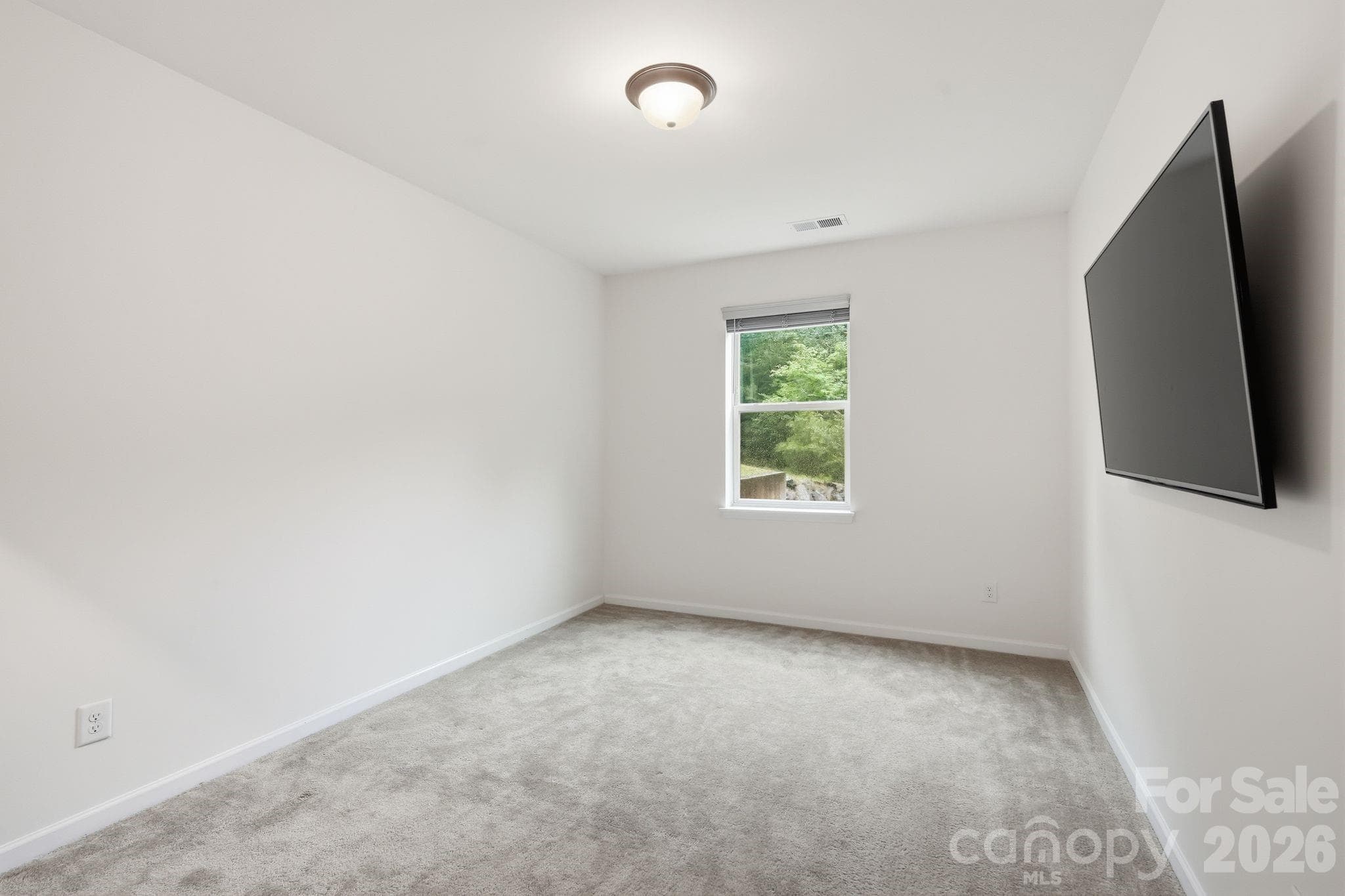 Walkout basement bedroom - 4870 Summerside Drive, Lake Wylie