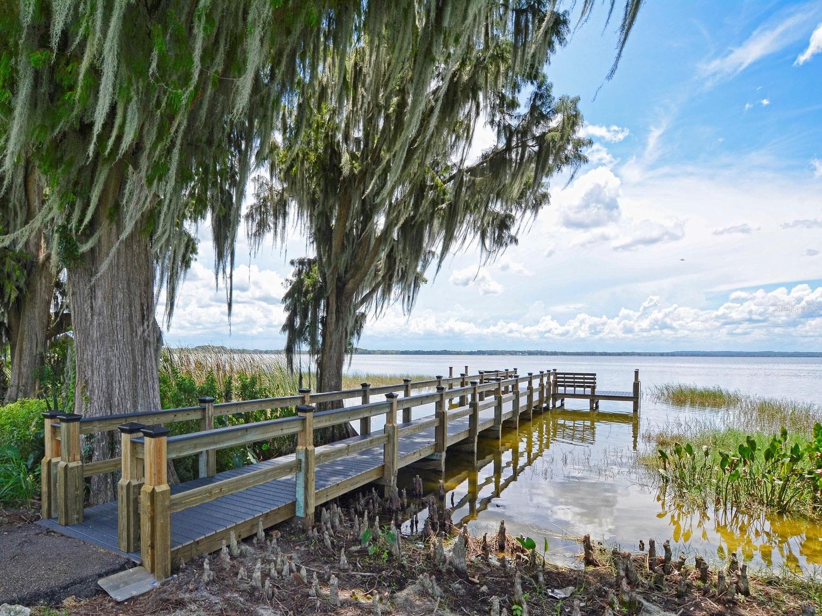 Community dock on Littke Lake Harris - 3354 SAINT LUCIA CT, TAVARES