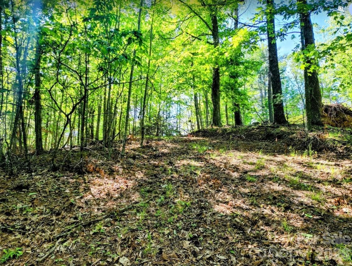 Lot at TBD Lucky Leaf Lane, Vilas, photo 2 of 19