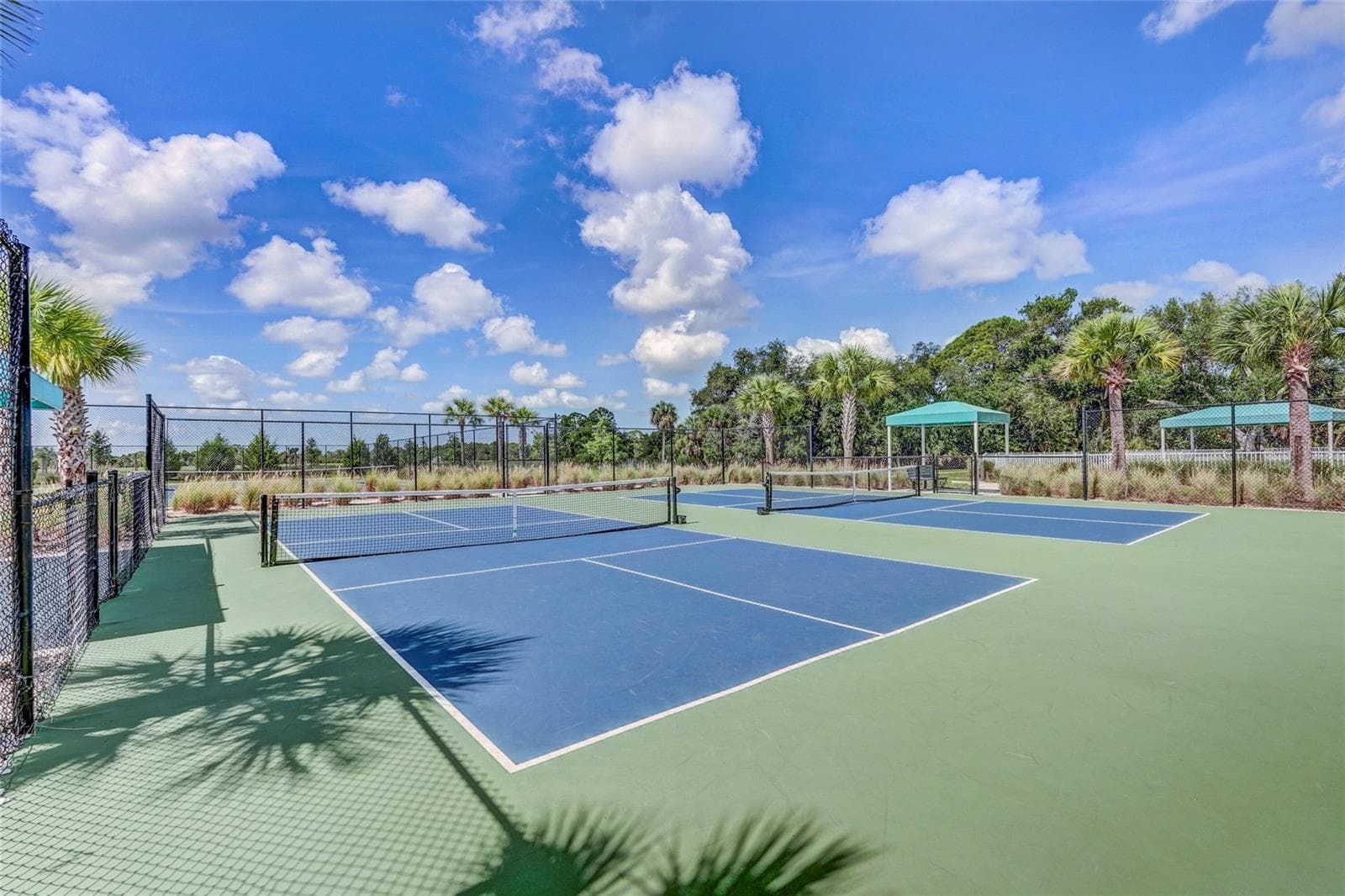 New Courts surfaces - 10233 LAKE WALES CIR, SARASOTA