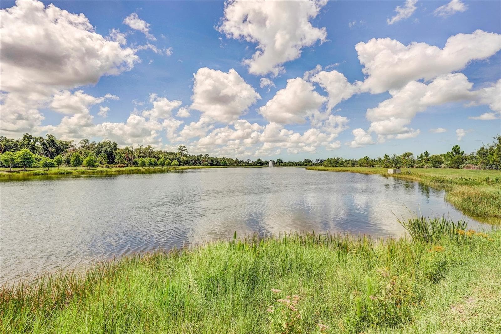 Lake Views - 10233 LAKE WALES CIR, SARASOTA