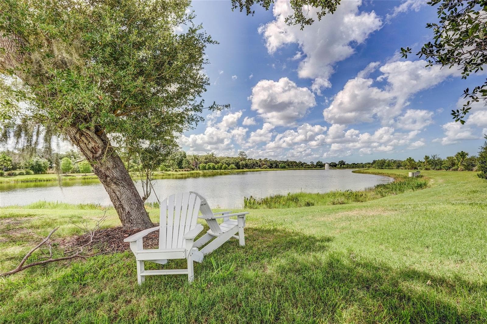 Protected Conservation Spaces - 10233 LAKE WALES CIR, SARASOTA