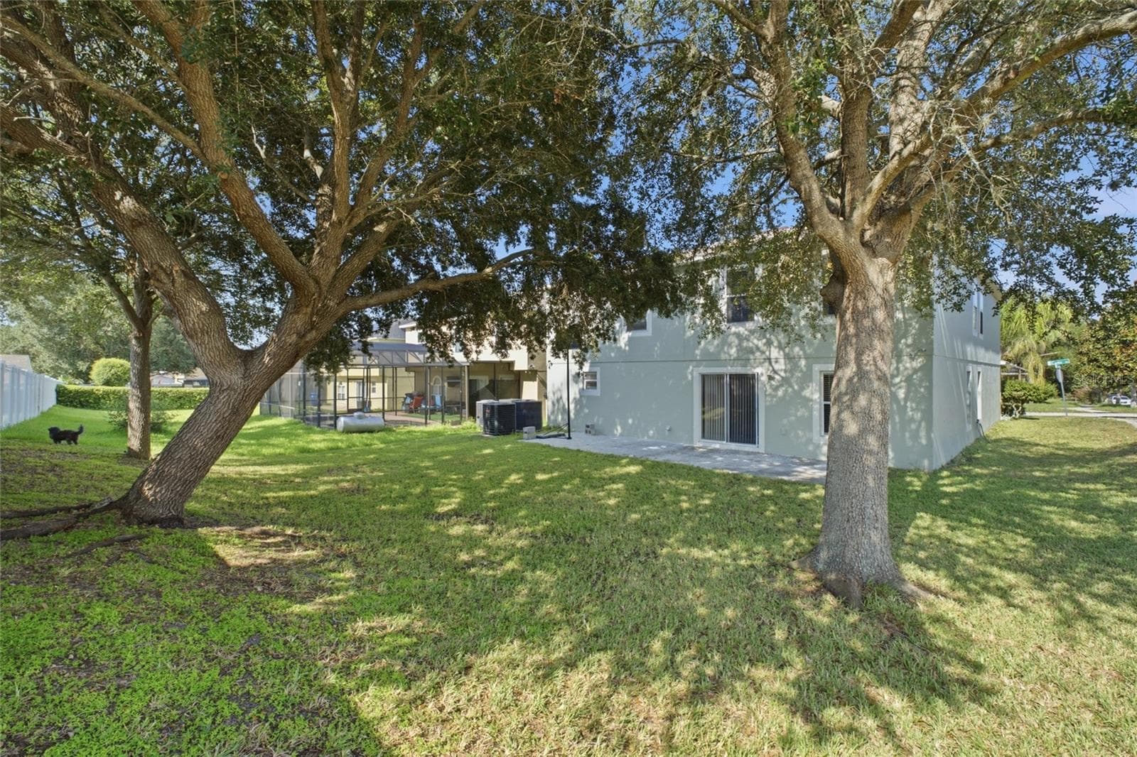Back of home with mature trees - 516 CADIZ DR, GROVELAND